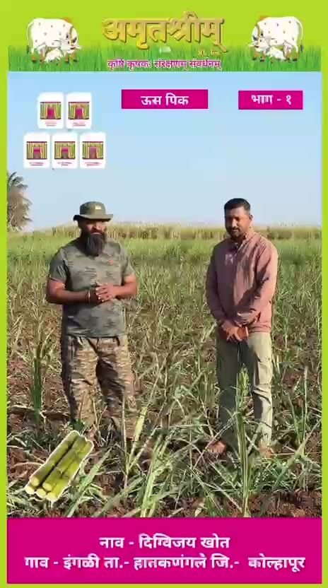 दिग्विजय खोत